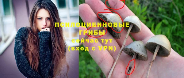 дмт Зерноград