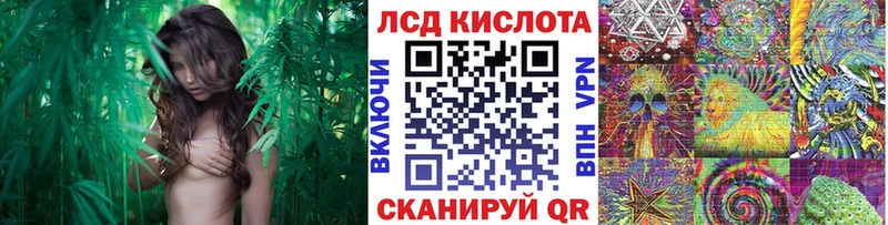 Марки 25I-NBOMe 1,8мг  Купить закладки  Новотроицк 