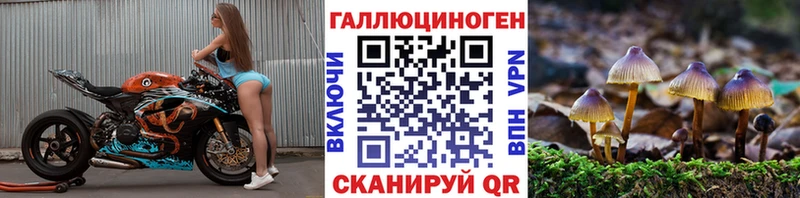 Купить  Новотроицк  Псилоцибиновые грибы мухоморы 